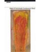 Continental Shelf - 9781847770431-thumb