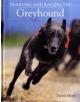 Training and Racing the Greyhound - 9781847971043-thumb