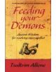 Feeding Your Demons - 9781848501737-thumb