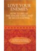 Love Your Enemies - 9781848503069-thumb