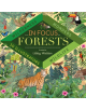 In Focus: Forests - 9781848578074-thumb