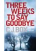 Three Weeks to Say Goodbye - 9781848872936-thumb