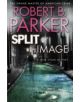 Split Image - 9781849160759-thumb