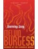 Burning Issy - 9781849393973-thumb