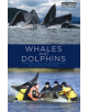 Whales and Dolphins - 9781849712248-thumb