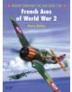 French Aces of World War 2 - 9781855328983-thumb