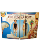 My First Book of the Human Body - 9781858303772-thumb