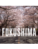 Return to Fukushima - 9781908211484-thumb
