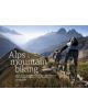 Alps Mountain Biking - Vertebrate Publishing Ltd - 9781910240366-thumb