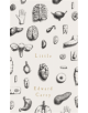 Little - 9781910709566-thumb