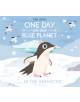 One Day on Our Blue Planet: In the Antarctic - 9781912497096-thumb