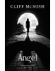 Angel - 9781916170704-thumb