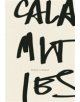 Calamities - 9781940696270-thumb
