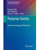 Posterior Uveitis - 9783030031398-thumb