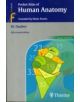 Pocket Atlas of Human Anatomy - 9783135112053-thumb