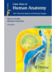 Color Atlas of Human Anatomy, Vol. 3 - 9783135335070-thumb