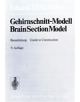Gehirnschnitt-Modell / Brain Section Model - 9783642477577-thumb