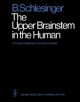 The Upper Brainstem in the Human - 9783642662577-thumb