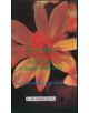 The Essence of Each Drug in Materia Medica - 9788170218067-thumb