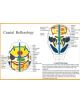 Cranial Reflexology -- A4 - 9789070281564-thumb