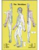Meridians -- A4 - 9789079887347-thumb