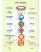 Chakras -- A4 - 9789079887477-thumb