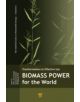 Biomass Power for the World - 9789814613880-thumb