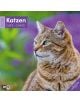 Стенен календар Ackermann Cats 2026 – Котки - Ackermann - Ackermann - Жена, Мъж - Ackermann - Art12 - 9783838446202-1-thumb