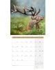 Стенен календар Ackermann German Wildlife 2026 – Диви животни в Германия - Ackermann - Ackermann - Жена, Мъж - Ackermann - Art12 - 9783838446264-10-thumb