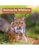 Стенен календар Ackermann German Wildlife 2026 – Диви животни в Германия - Ackermann - Ackermann - Жена, Мъж - Ackermann - Art12 - 9783838446264-1-thumb