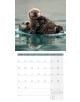 Два видари плуват в спокойна вода, възрастен с малко, над Стенен календар Ackermann Otters 2026 - Видри за юни 2026 г., показващ дните и седмиците на английски и немски език. Перфектен избор за вашата колекция от календар за 2026 г.-7-thumb