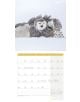 Стенен календар Ackermann Owls 2026 – Бухали - Ackermann - Ackermann - Жена, Мъж - Ackermann - Art12 - 9783838446240-13-thumb