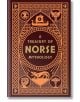 Корицата на "Съкровищница на скандинавската митология" е със златни рисунки на скандинавска тематика - викингски саги, кораб, животни и възли - на тъмен фон в цвят бордо. Идеална за почитатели и колекционери на изданията по митология.-thumb
