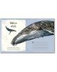 An Anthology of Intriguing Animals - Ben Hoare - Момиче, Момче - DK Publishing - 9780241334393-4-thumb
