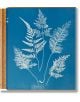 Анна Аткинс, Цианотипи: Отпечатък на деликатни листа от папрат на син фон със сложни бели шарки на листата и слаб ръкописен етикет, вдъхновен от ботаническата фотография на Анна Аткинс.-1-thumb
