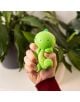Една ръка стиска Legami - Dino antistрес фигурка, зелена топка за стрес с форма на динозавър и текстуриран корем, разположена на фона на листни стайни растения.-5-thumb