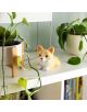 Антистрес фигурка Legami - Corgi, малка и симпатична фигурка за облекчаване на стреса, седи на бял рафт между две зелени растения в саксии, а на долния рафт на заден план се виждат книги.-3-thumb
