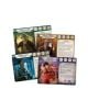 Настолна игра: Arkham Horror - Edge of the Earth: Investigator Expansion - Christopher Hosch - Asmodee - Asmodee Editions - Мъж - 841333113421-4-thumb