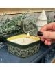 Ароматна свещ Paddywax - Балсам и ела - Paddywax - Designworks Collective - Жена, Момиче - 840214817403-3-thumb