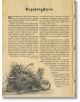 Български митологични същества и вярвания - Колектив - Момиче, Момче - Асеневци - 9789548898577-5-thumb
