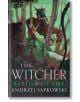 Корицата на книгата "Огнено кръщение" (The Witcher, Book 5) представя Гералт от Ривия в броня на кон, бард с лютня и Цири с лък в горска среда от прочутата поредица "Вещиците".-1-thumb