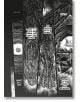 На страница от Berserk Deluxe Edition Vol. 13 е изобразен герой в броня, който забелязва, че ръцете и краката му са изчезнали и че е изтръпнал. Изкривените панели изразяват страх и объркване, а текстът: "Какво да правя?" и "Нито едно от сетивата ми не раб-4-thumb