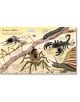 Big Book of Big Animals - Hazel Maskell - Момиче, Момче - Usborne Publishing Ltd - 9781836040217-5-thumb