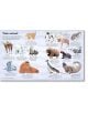 Big Book of Big Animals - Hazel Maskell - Момиче, Момче - Usborne Publishing Ltd - 9781836040217-6-thumb