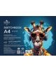 Блок за рисуване Koh-I-Noor Sketchbook A4, 20 листа - Koh-i-Noor - Koh-i-Noor Hardtmuth - Момиче, Момче - 8593539366294-thumb