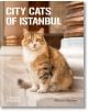 Пухкава бяла котка седи на каменна стълба пред богато украсени колони на корицата на "Градските котки на Истанбул" - фотокнига, в която се изследва очарованието на котките в турската култура.-1-thumb