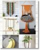 Complete Starter Guide to Macrame - Angela Barretta - Жена - Fox Chapel Publishing - 9781497104945-3-thumb