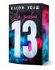 На ярката корица на Да уловиш 13, роман за юноши от поредицата "Момчетата на Томмен" от Клоуи Уолш, е изобразено смелото бяло число 13 на черен фон, подчертано със сини и розови прашинки.-1-thumb