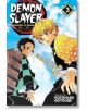На корицата на "Demon Slayer Kimetsu no Yaiba, Vol. 3" Танджиро Камадо и Зеницу са изобразени под яркото небе, докато се готвят да се бият с опасни врагове като дванадесетте Кизуки.-2-thumb