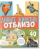 Дивите животни отблизо , с капачета - Колектив - Момиче, Момче - Хермес - 9789542624530-2-thumb